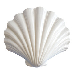 White Seashell on White Background - Ideal for Oceanic Themes and Monochrome Designs