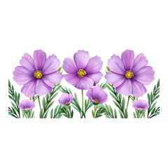 Obraz premium Pastel Watercolor Cosmos Flowers Border Clipart - Ideal for Floral Designs and Wedding Invitations