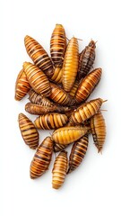 Freeze-Dried Insect Treats for Birds - Isolated on white background