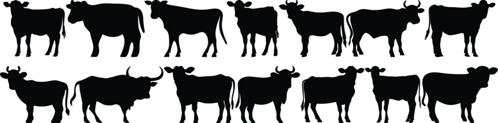 Cow silhouettes set, bull pack of vector silhouette design, isolated background