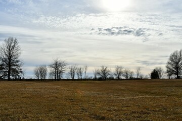 Fototapeta premium Sun and Clouds Over Trees in a Rural Field