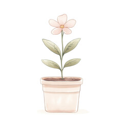 Fototapeta premium Simple watercolor flower in pot with green leaves and pink petals on transparent background isolated png
