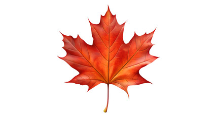 Fototapeta premium Vibrant red maple leaf showcasing the beauty of autumn in a natural setting Transparent PNG