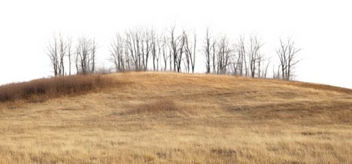Hilltop with bare trees during winter cold isolated on transparent background