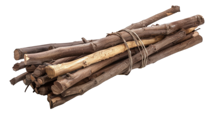 Bundle of dry branches tied with rope on transparent background