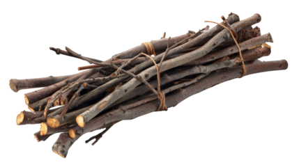 Bundle of dry branches tied with twine on transparent background