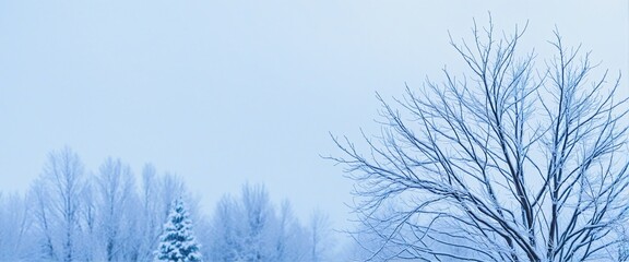 Winter Color Palette