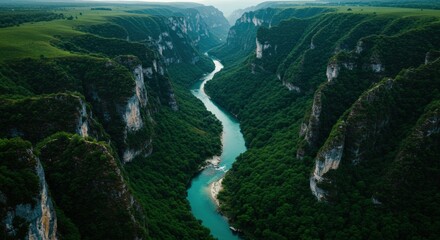 Canyon with Flowing River