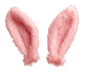 Pink bunny ears for festive fun! isolated on transparent background