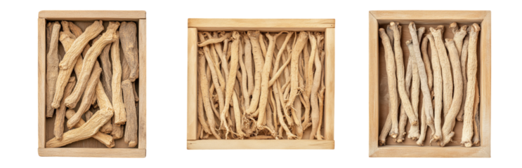 Dried herb root collection in boxes Isolated on transparent background