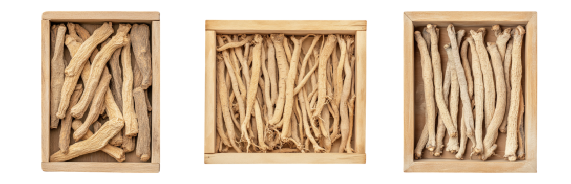 Dried herb root collection in boxes Isolated on transparent background