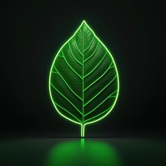 A glowing neon leaf design, symbolizing nature and the environment's beauty, against a dark backdrop for striking contrast.