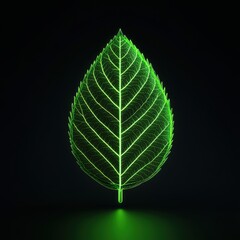 A vibrant green leaf with illuminated veins, symbolizing nature and sustainability against a dark background.