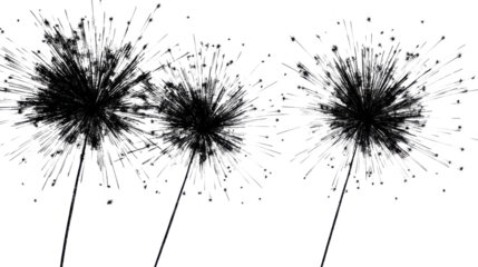 Black dandelion seeds blowing in the wind with transparent background