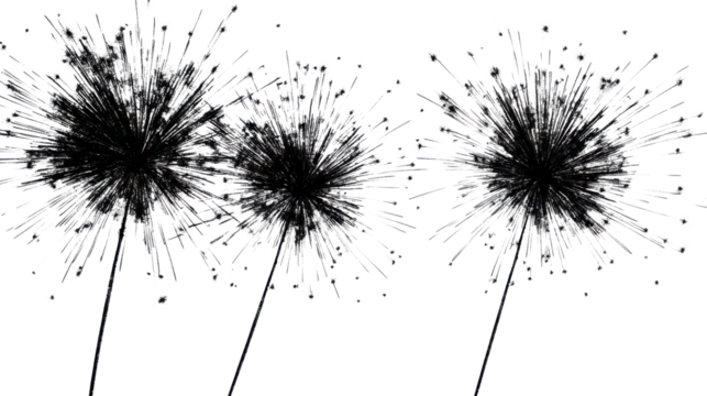 Black dandelion seeds blowing in the wind with transparent background