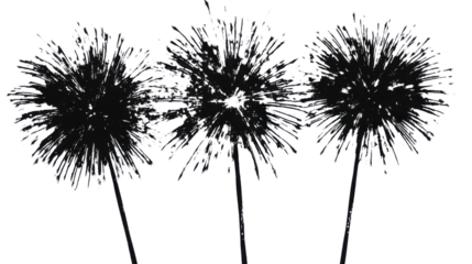 Three black fireworks exploding with transparent background