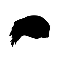 Silhouettes of hair styling