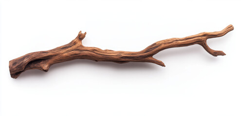 Fototapeta premium High detail photograph of single driftwood branch, showcasing its intricate texture and natural beauty. This unique piece of wood is perfect for decorative purposes or as art element