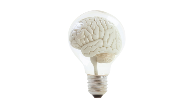 Human brain inside light bulb with transparent background representing ideas and intelligence