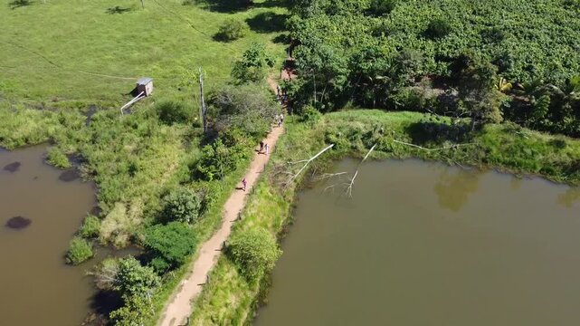 Pessoas em planta&ccedil;&atilde;o de cacau em Rond&ocirc;nia, Brasil