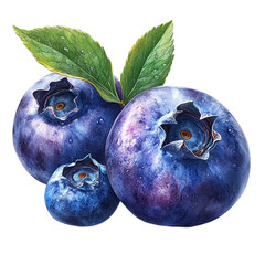 Obraz premium Juicy Blueberries with Green Leaves, Close-up Still Life