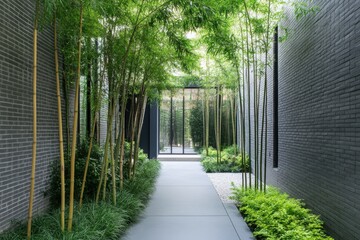 A vibrant, lush bamboo pathway gracefully winds its way towards a tranquil courtyard, nestled within a backdrop of modern architectural design, bathed in the warm light of day