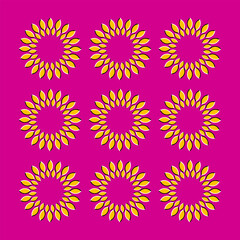 Optical illusion vector design of moving sunflower petals on a magenta background.