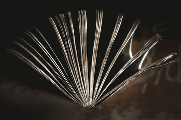 open book on black background, Close-Up of Aged Book Pages in Soft Lighting