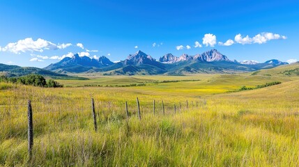 Obraz premium Sunny mountain valley meadow, fence, summer. Use travel brochure