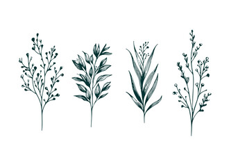 Mixed Decorative Plant hand drawn sketch vector illustration isolated