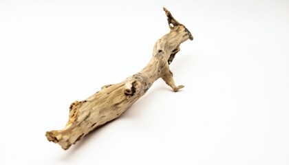 Obraz premium Natural Driftwood Branch for Aquarium Decor or Terrarium