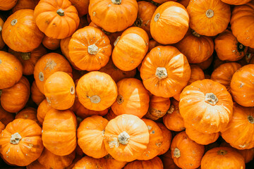 A pile of orange pumpkins view from the top.