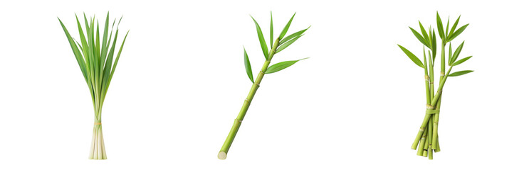 Fototapeta premium Fresh Green Leeks on White Isolated on transparent background
