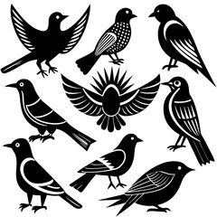 pattern with birds