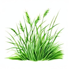 Obraz premium the AI Image Generator, Watercolor Illustration of Vibrant Green Grass