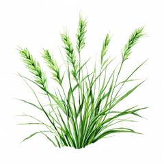 Fototapeta premium the AI Image Generator, Watercolor Illustration of Vibrant Green Grass