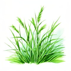the AI Image Generator, Watercolor Illustration of Vibrant Green Grass