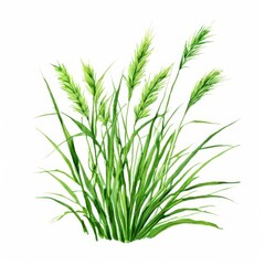 Fototapeta premium the AI Image Generator, Watercolor Illustration of Vibrant Green Grass