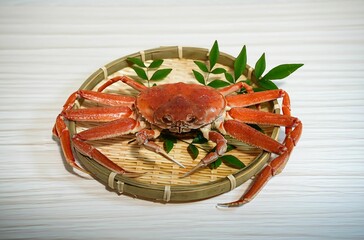 新鮮な茹でたてのオオズワイガニ