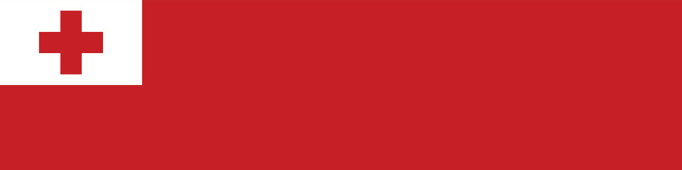 Obraz premium Tonga flag long banner digital vector illustration