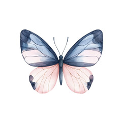 Pastel Butterfly Watercolor: A delicate watercolor painting of a butterfly with soft pastel pink and blue wings, showcasing intricate details and a dreamy aesthetic. 