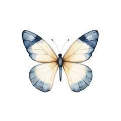 Serene Watercolor Butterfly: An exquisite watercolor painting of a butterfly, showcasing delicate wings in calming shades of beige and blue.