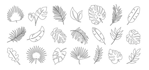 Tropical leaves outline clipart set. Tropical leaves clip art in hand drawn icon collection black line drawing vector illustration.  © Zeinous