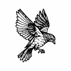 Fototapeta premium Graceful Bird in Flight, Black and White Illustration of a Bird Spreading Its Wings in Mid-Air, Detailed Artwork of a Flying Bird with Intricate Feather Designs