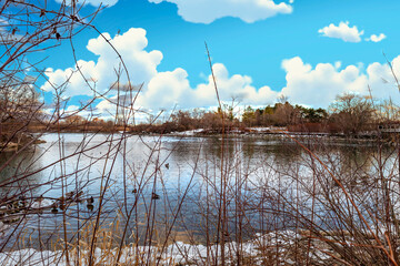 Winter wonderland by the lake, ducks swimming under a bright sky.
