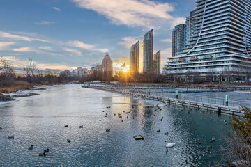 Obraz premium Sunset over a city waterfront with frozen pond and birds.