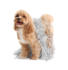 Cute dog with shiny tinsels on white background