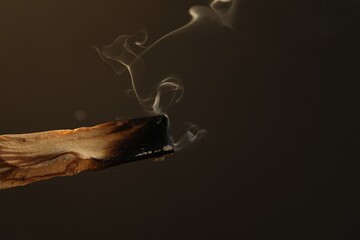 Smoldering palo santo stick against dark background, closeup. Space for text