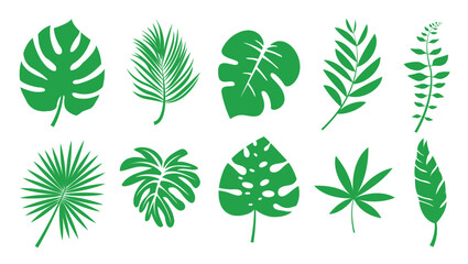 Vector tropical leaves, palm leaves, palm branches, Monstera, tropical, Party decoration.