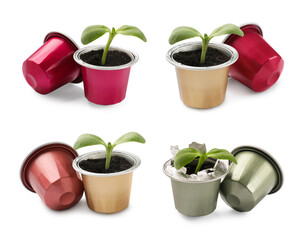 Coffee capsules with green sprouts isolated on white, set